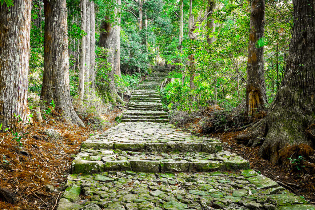 Kumano Kodo — Nakahechi